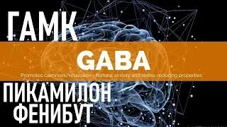 Что такое ГАМК (GABA) Спорт Мозг Эффекты Советы | GABA: Uses and Risks