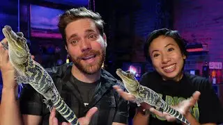 Scavenger Hunting for Alligators in the Everglades | Travels with Hyper