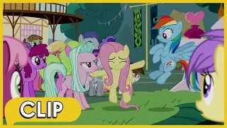 The Pony Races of Equestria are Divided - MLP: Friendship Is Magic [Season 9]