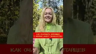Как очаровать китайцев с первых минут знакомства | Школа китайского | Twins Chinese