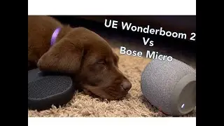 UE Wonderboom 2 vs Bose Micro, You will not believe which one my puppy picks!