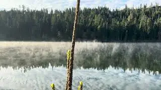 Morning River Mist