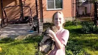Погода в Краснодаре. Конец апреля в своем доме.