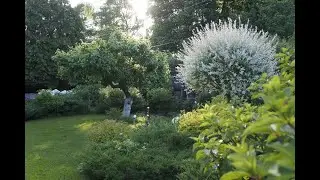 Сад Ольги Джус. Сады заказчиков QGARDEN.  Слайд-шоу.