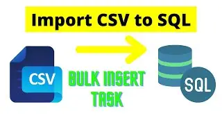 102 bulk insert task in ssis