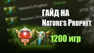 ИМБА ПАТЧА 7.34b. Гайд на Фуриона