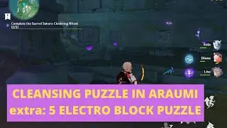 Araumi 5 Cube Puzzle - Inazuma World Quest Genshin Impact