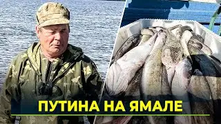 Аксарковские рыбаки добывают налима и ждут хода сырка