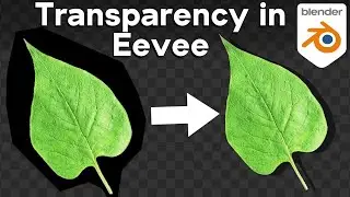 How to Use Transparency in Blender Eevee