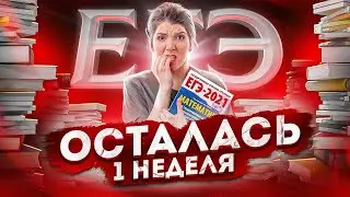 Неделя до ЕГЭ: что делать? | Быстрая подготовка к ЕГЭ | ЕГЭ Профиль 2021 просто