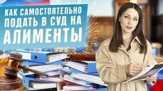 Как самостоятельно подать заявление в суд на взыскание алиментов! Иск на алименты на ребенка в 2020