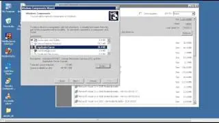 Add Internet Information Service (IIS) In Windows Server 2003 and 2008