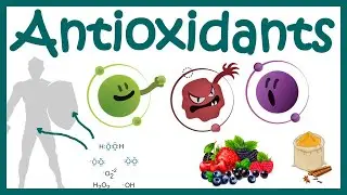 Antioxidants | What Are Antioxidants ? | Antioxidants Benefits | Free Radicals and ROS scavenging