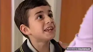 Жашо суртумдору 41 бөлүм