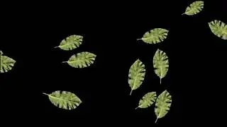 Green screen | Autumn leaves fall | Video background | Animation | Footage | Download | №187