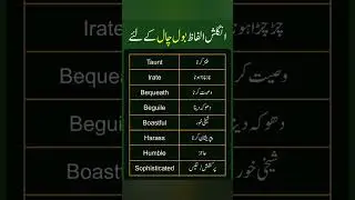 English Vocabulary #taleemofficial #vocabulary #words