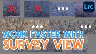 Use SURVEY VIEW in Lightroom Classic to quickly review and rate photos