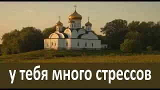 Успокойся, у тебя много стрессов, а мира у тебя мало