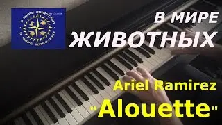 В мире животных Alouette ~ Жаворонок Ariel Ramirez