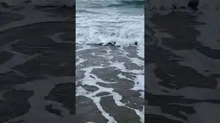 kandıra, karadeniz sahilleri, cebeci kandıra 