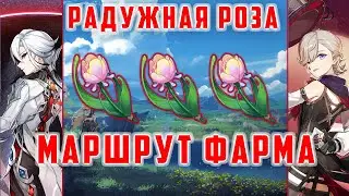 РАДУЖНАЯ РОЗА. АРЛЕКИНО. МАРШРУТ ФАРМА. ГДЕ ДОСТАТЬ? [Genshin Impact 4.6]