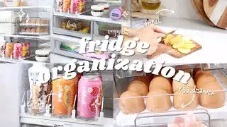 ORGANIZE WITH ME | FRIDGE ORGANIZATION | CLEAN AND DECLUTTER | FALL HOME ORGANIZATION 2023