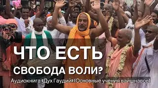 89. Что есть свобода воли?