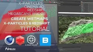 Using X-Particles WetMaps in Redshift for Cinema 4D with Quixel Bridge