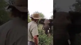 Standing Down a CHARGING Elephant! The Most Interesting Hunter in the World. 