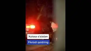 tungi kapalaklar zapal