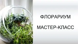 Флорариум своими руками | мастер-класс | GARDEN BOOM