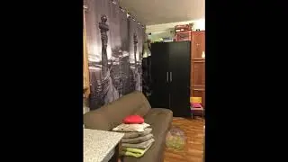Продам 1 комн. квартиру в г. Ивантеевка ул. Студенческий пр-зд д. 39