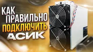 КАК ПРАВИЛЬНО ПОДКЛЮЧИТЬ И НАСТРОИТЬ АСИК? | Самые распространенные ошибки