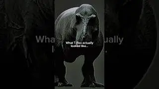 Accurate T-Rex is absolutely terrifying 