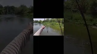 Прирожденная хищница 