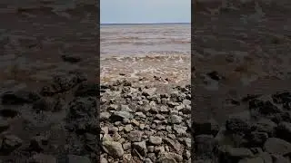 Шоколадна річка 😁 #shortsvideo #nature #canada #українцівканаді #canadatravel #travel