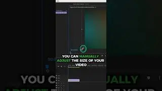 How to Remove Black Border Around Video in Premiere Pro 2024 #premierepro