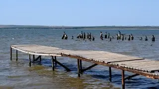 Посёлок Сенной Темрюкский район, Таманский залив 🌅 воспоминания о лете