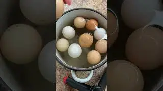 Как проверить свежесть яиц? 