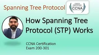 CCNA 200-301 | Module 19 | How Spanning Tree Protocol (STP) functions #ccna_certification #ccna