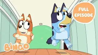 Yoga Ball 😮 🧡 | Bluey Full Episode | Games with Bingo ✨ | Bingo - Official Channel