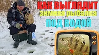 Думал что рыбы здесь нет!!! Зимняя рыбалка с подводной камерой.