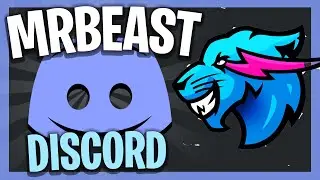 MrBeast Official Discord Server (700K MEMBERS)