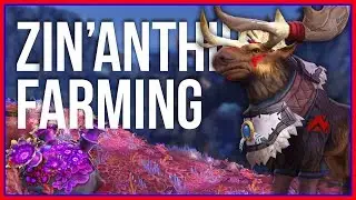 Which Zinanthid Farming Route is Best? | Patch 8.2 Herbalism