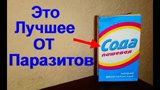 Как принимать соду от паразитов. Избавляемся от гельминтов пищевой содой - очищение кишечника