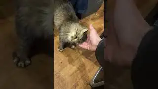 Моя самая жёсткая ошибка по 30ти летнему Форду🥵