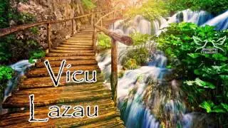 Vicu Lazau - Colaj muzica crestina pentru Dumnezeu.