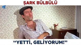 Şark Bülbülü Türk Filmi | Fethi'nin Rakipleri Şaban'ı Kaçırıyor!