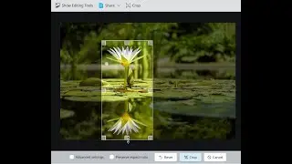 Crop Images with Gwenview – Easy Editing in KDE Linux!