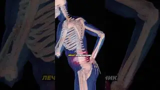А вы знали ЭТО? 